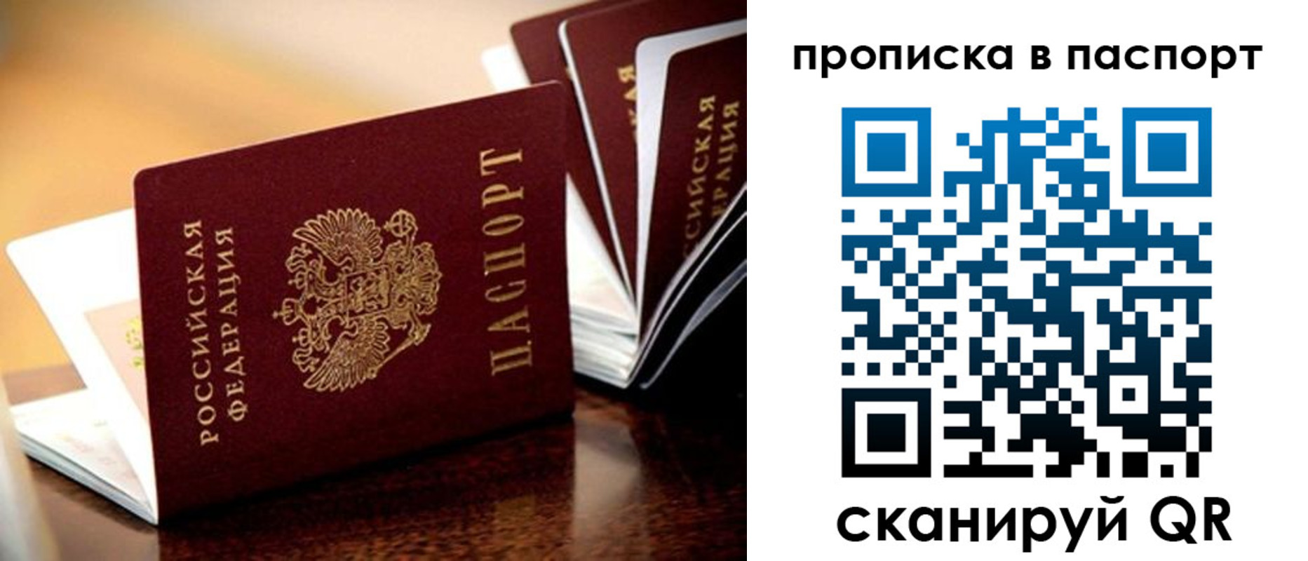 регистрация для школы в Сельцо